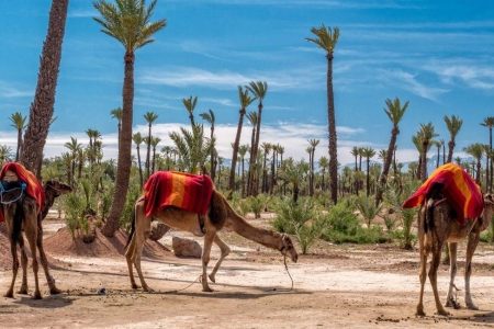 3 Day Tours Marrakech To Merzouga